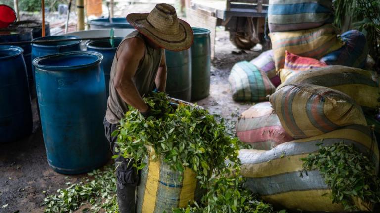 Un trabajador de un laboratorio de producción primaria de pasta base en el cañón del Micay, Cauca