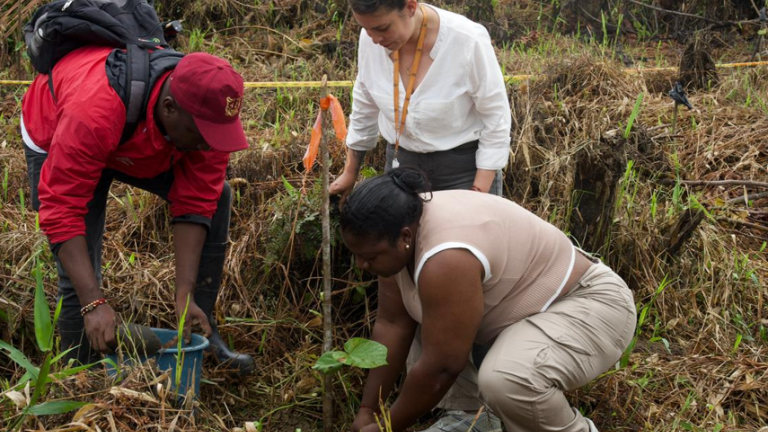 La memoria y trabajo comunitario es necesaria para llegar a una paz posible.